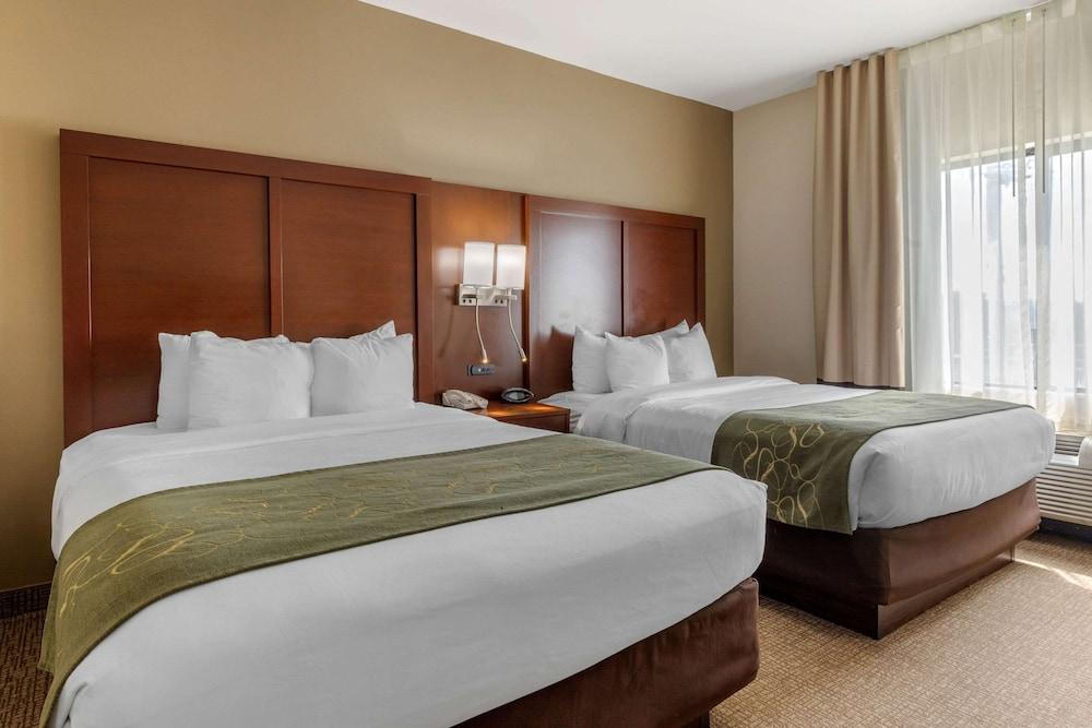 Comfort Suites Johnson City near University photo 13