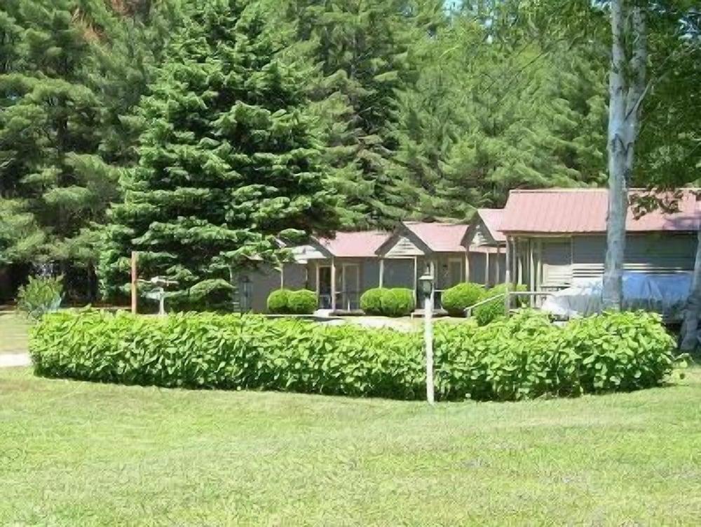 Pine Tree Motel & Cabins photo 39