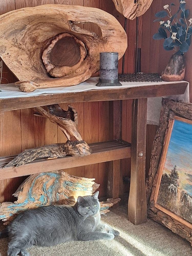 Comanche inn photo 6