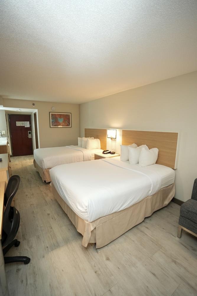 Wyndham Garden Duluth photo 4
