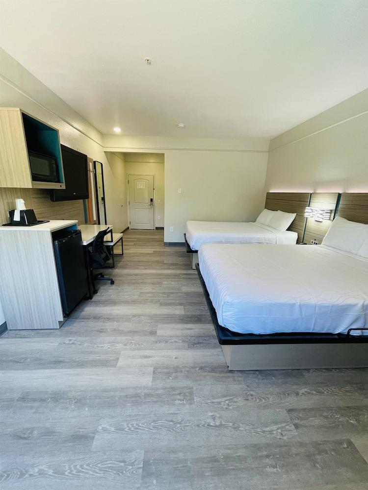 Sonesta Essential Hotel Houston-I-45 Spring photo 3