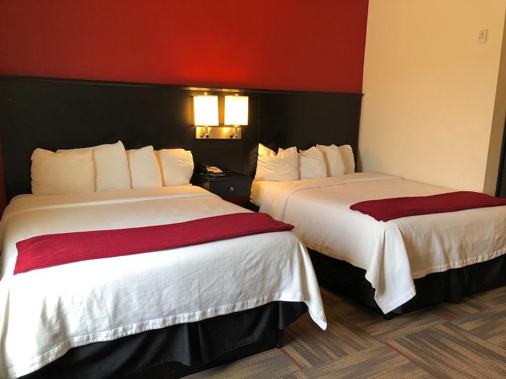 Black Gold Suites Tioga photo 15