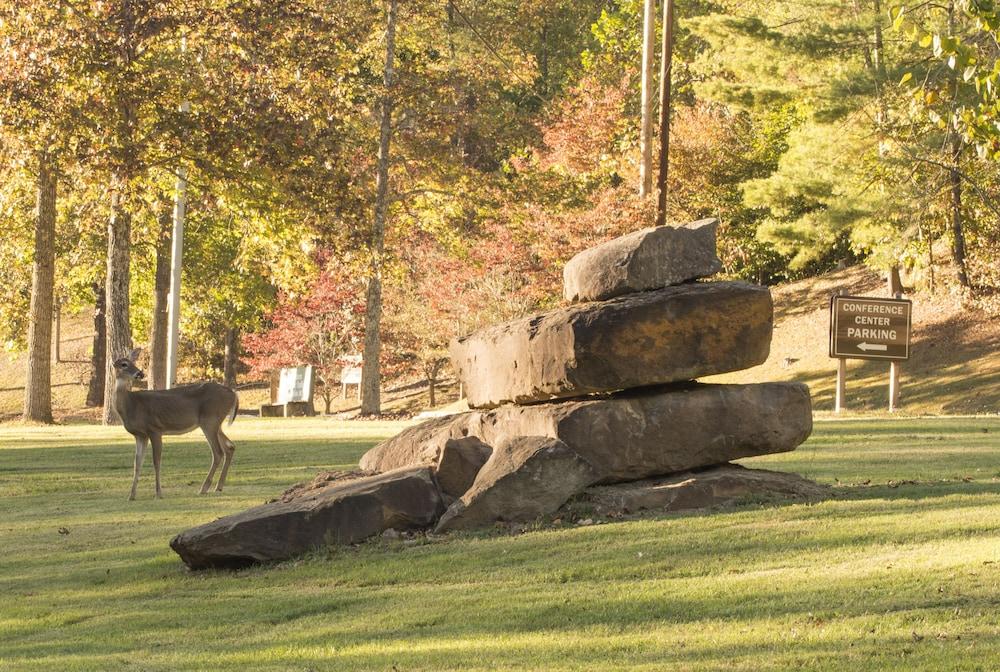 Buckhorn Lake State Resort Park photo 11
