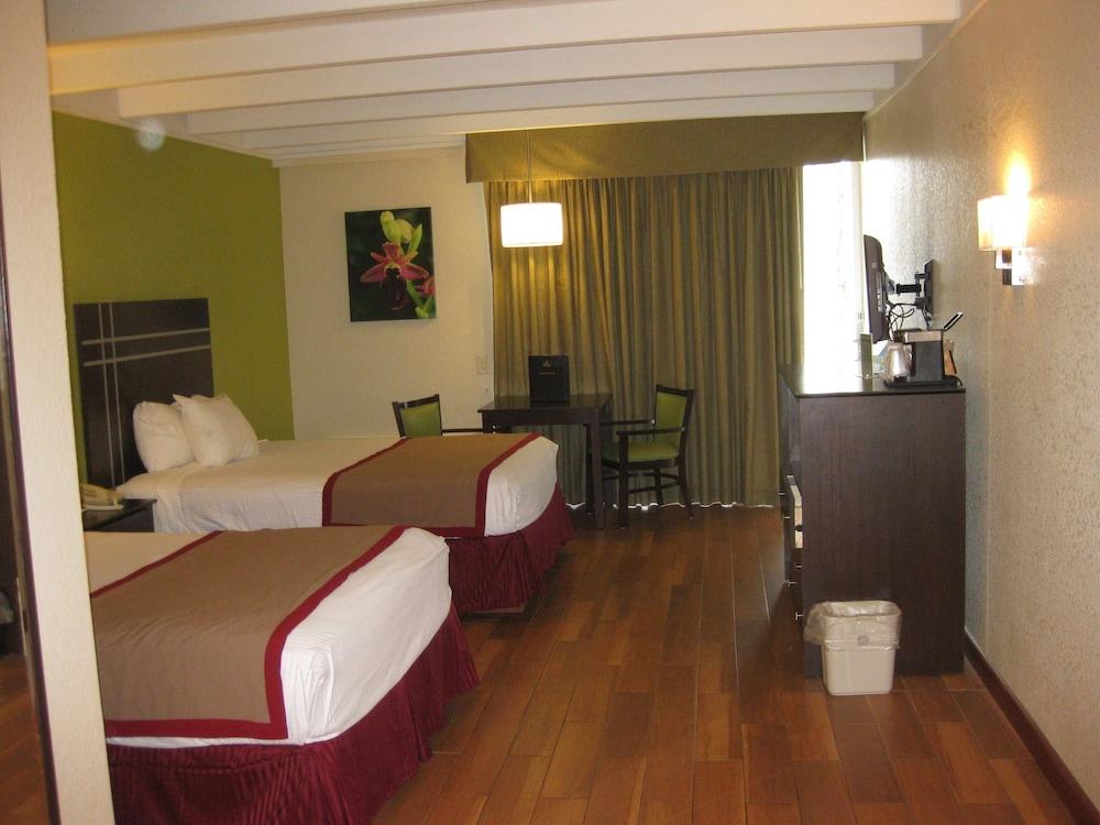 Best Western Orlando West photo 7