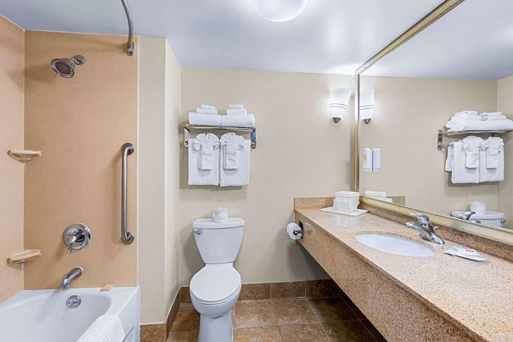 Comfort Suites Vacaville-Napa Valley Area photo 6