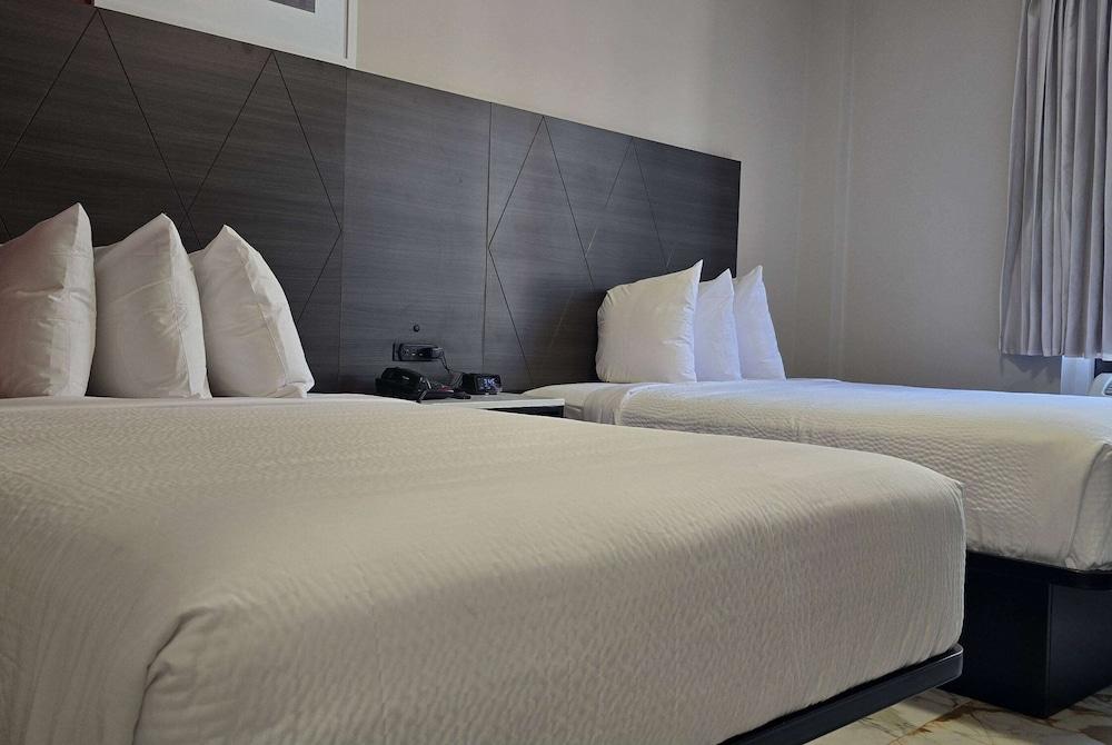 Ramada By Wyndham Brooklyn Empire Blvd photo 7