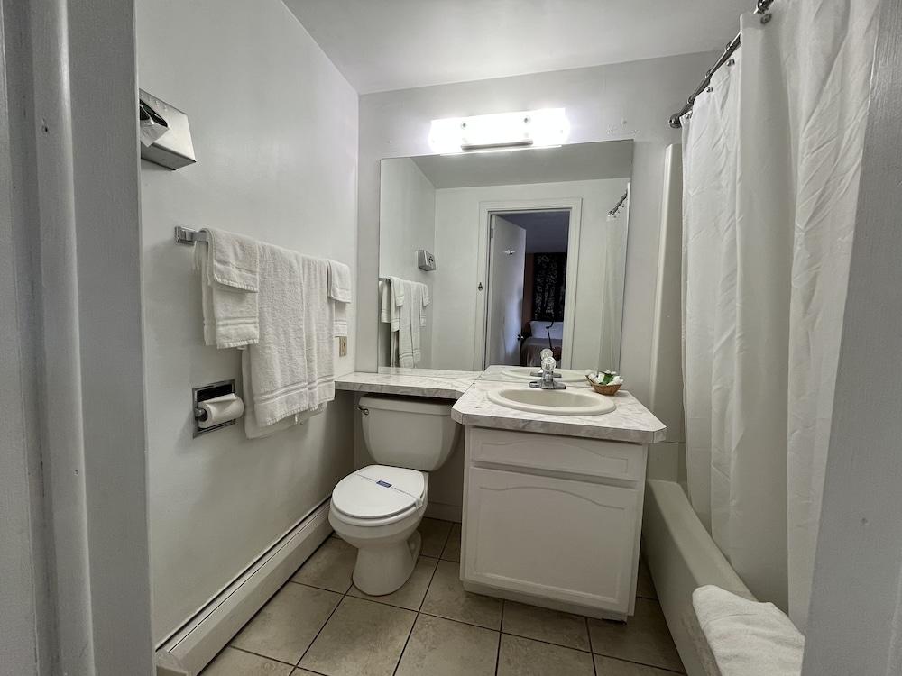 Mansfield Inn photo 7