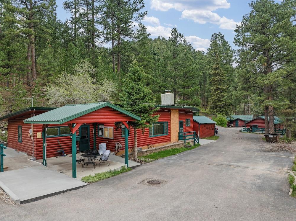 Ponderosa Pines photo 16