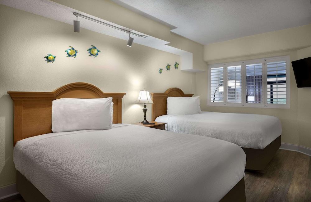 Beach Cove Resort photo 4