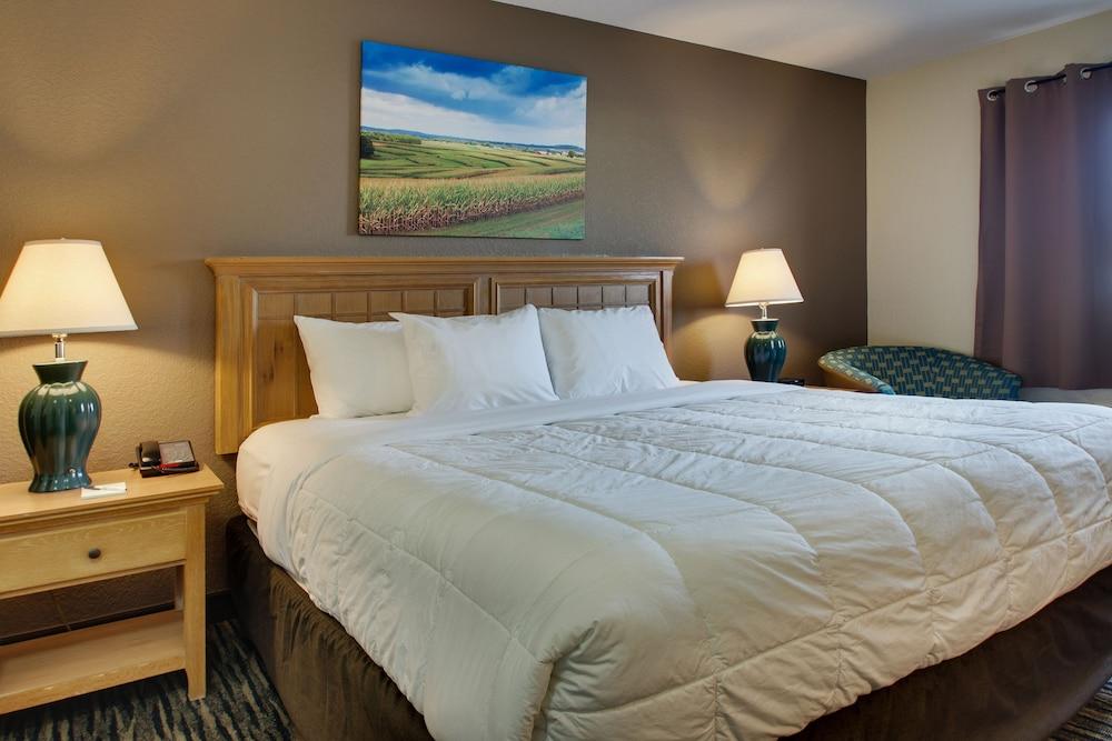 EverSpring Inn & Suites photo 15
