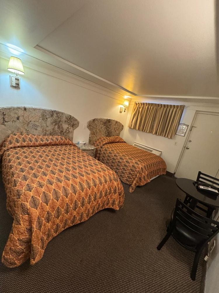 Domino Motel photo 7