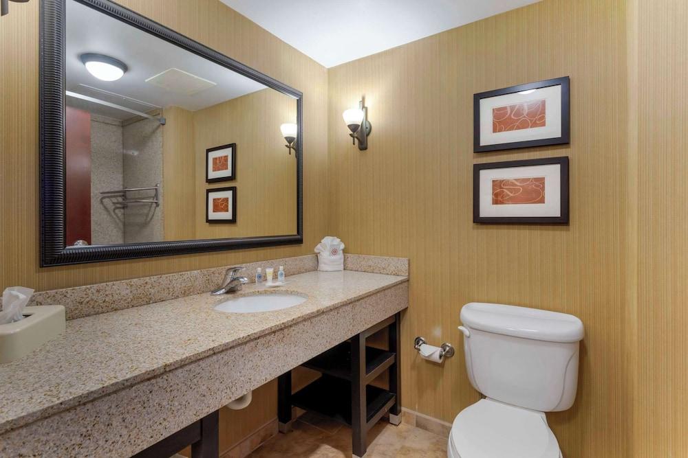 Comfort Suites Kodak Sevierville photo 6