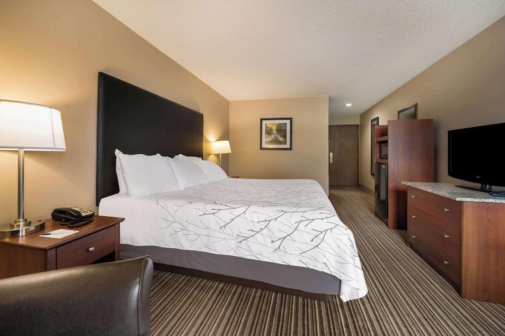 Best Western Park Oasis Inn photo 28