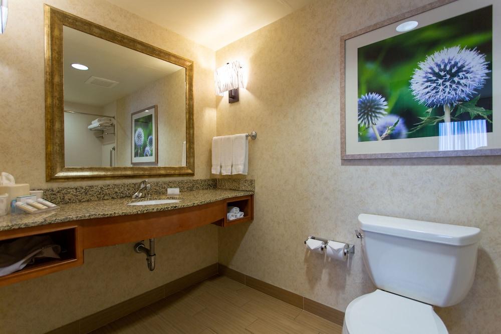 Hilton Garden Inn Cedar Falls photo 48