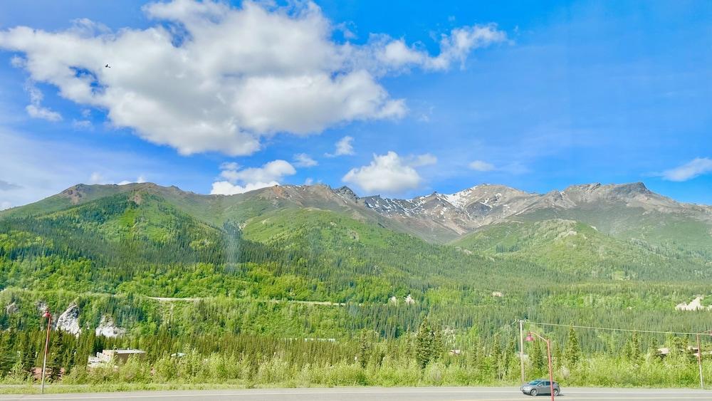 Denali Rainbow Village RV Park and Motel photo 27