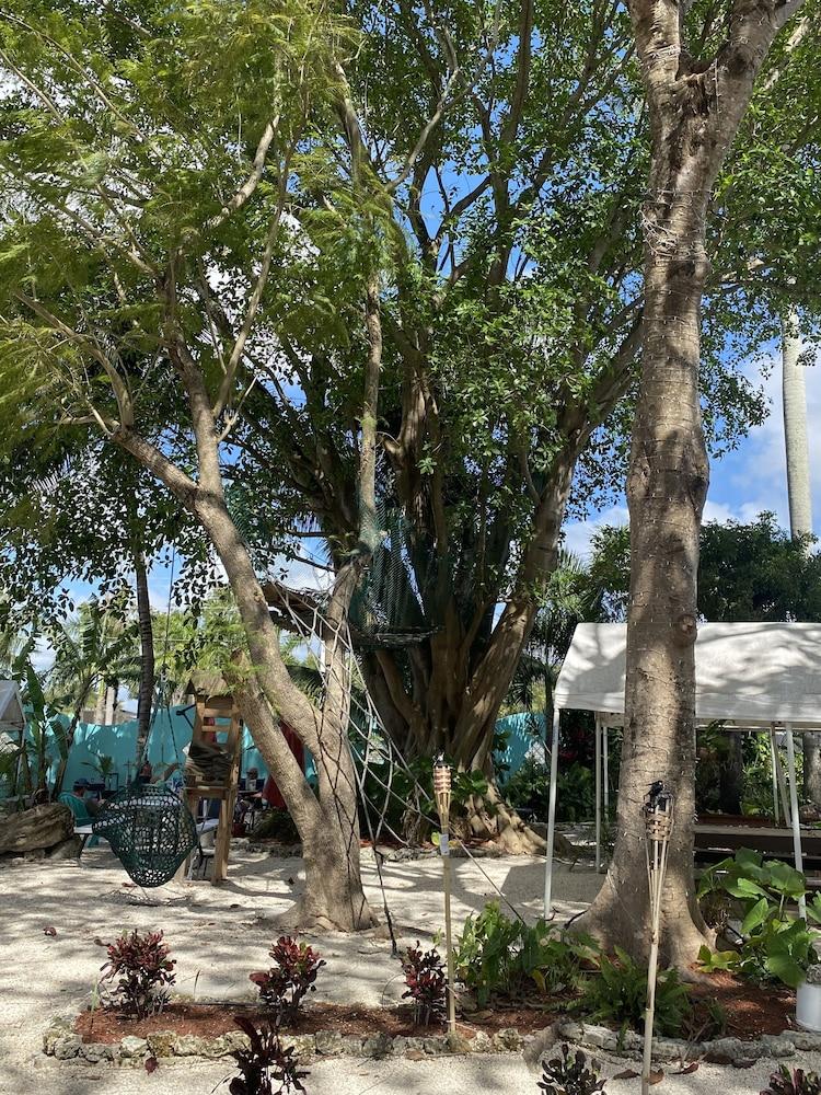 Hoosville Hostel photo 5