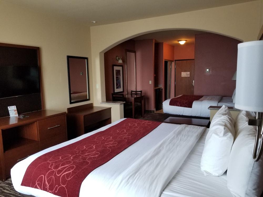 Comfort Suites McAllen photo 12