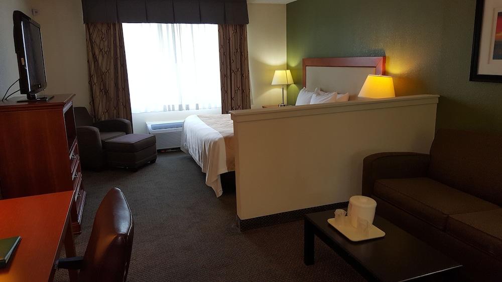 Quality Inn & Suites Conference Center photo 20