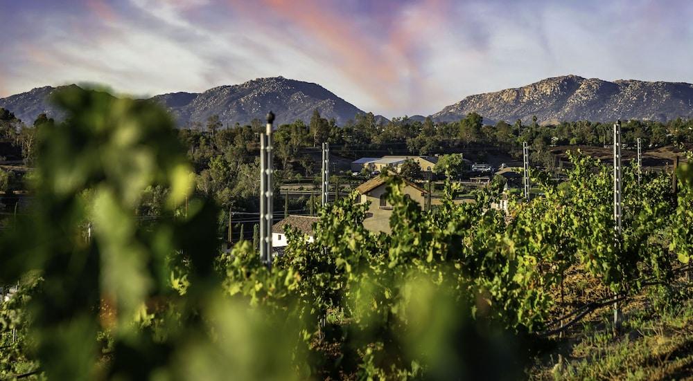 Europa Village Wineries and Resort photo 49