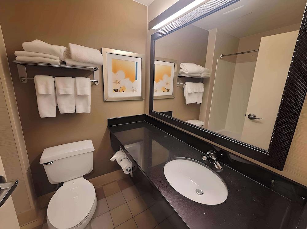Dubuque Inn & Suites photo 10