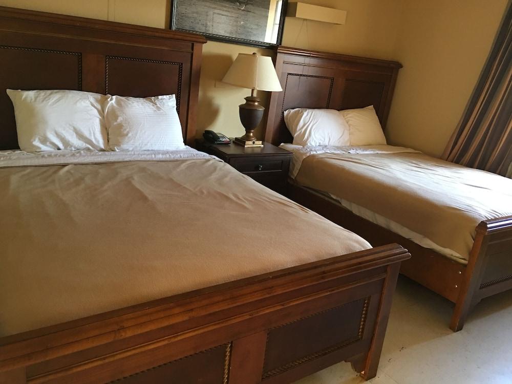 Reddy Inn and Suites photo 18