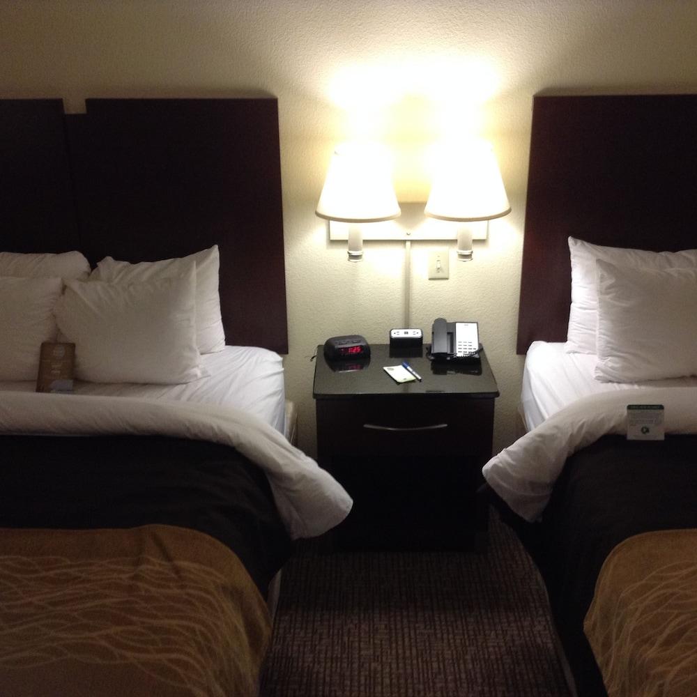 Comfort Inn & Suites Ft. Jackson Maingate photo 4