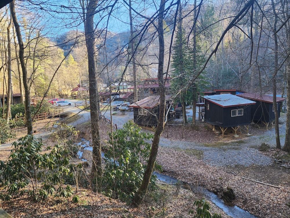 Black Bear Resort photo 12