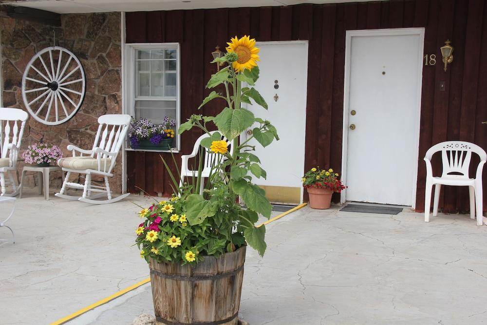 Black Bear Inn photo 43