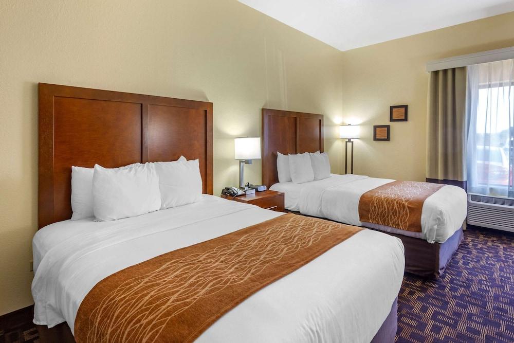 Comfort Inn & Suites North Aurora - Naperville photo 10