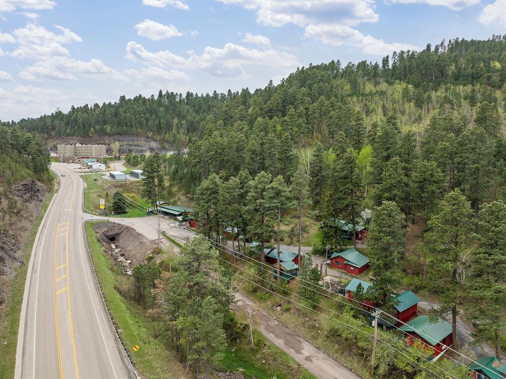 Ponderosa Pines photo 64