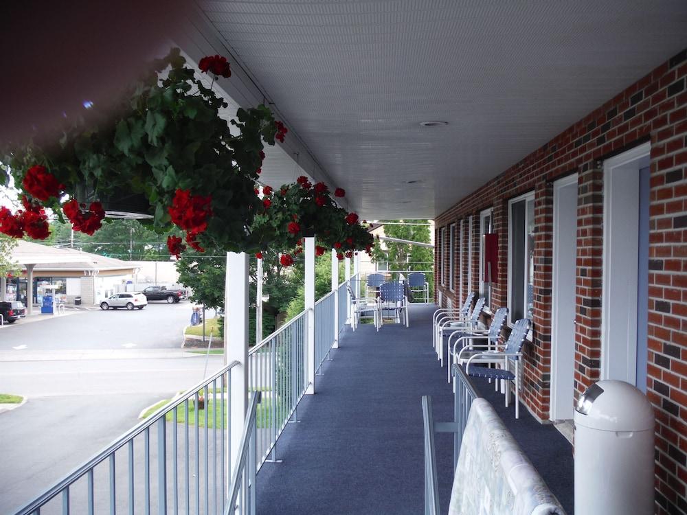 The Springs Motel photo 8