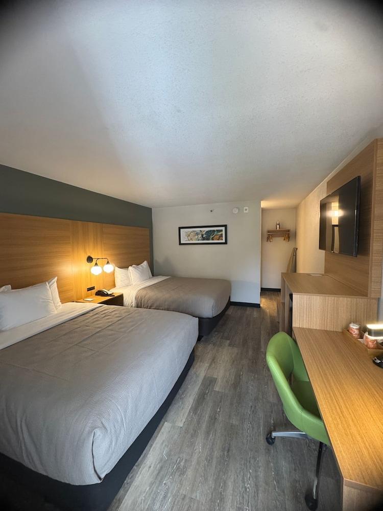 Quality Inn Orlando Near International Drive photo 13