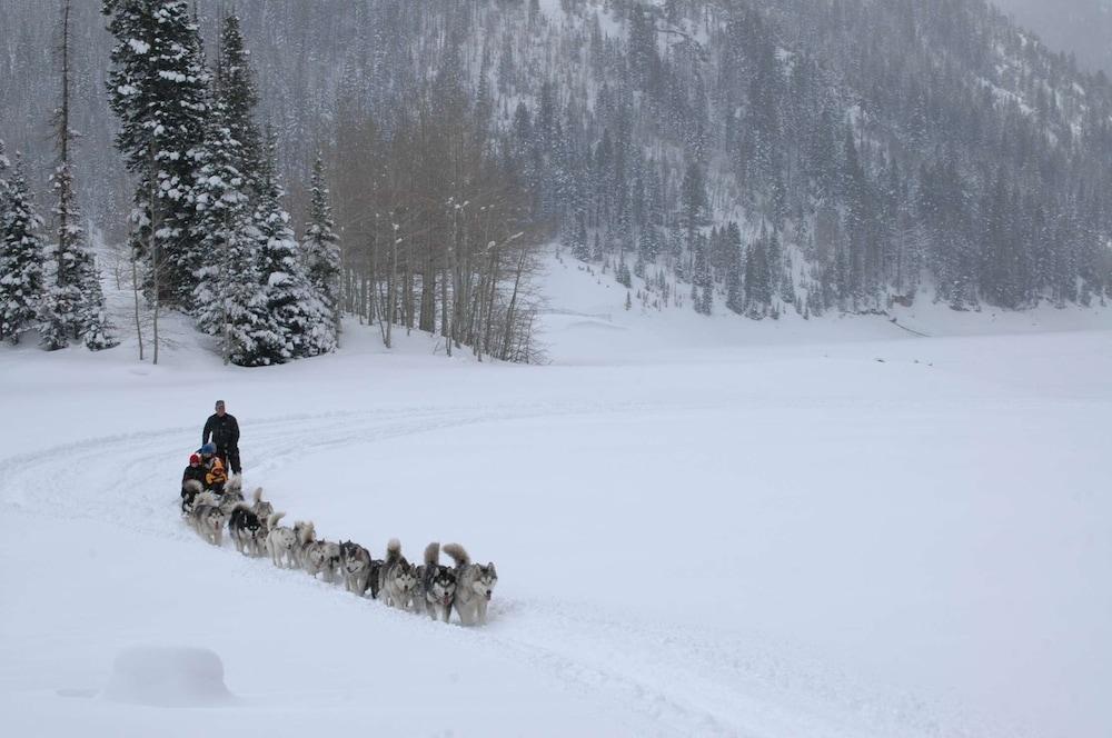 Hyatt Centric Park City photo 28