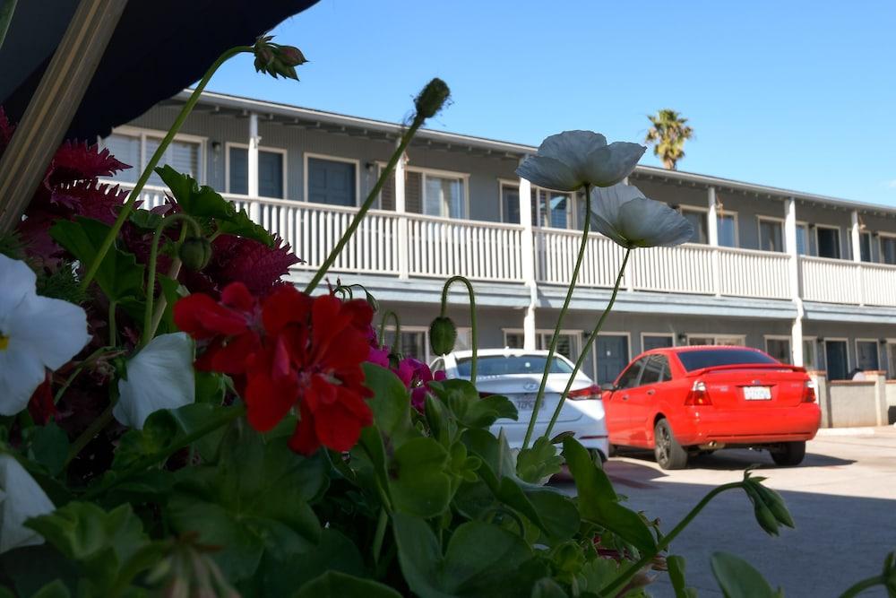 The Shores Inn and Beach Houses photo 33