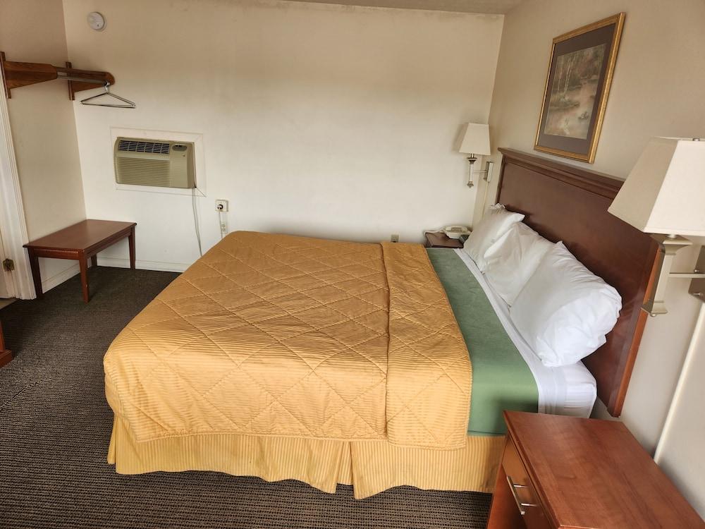 Royal Motel photo 55
