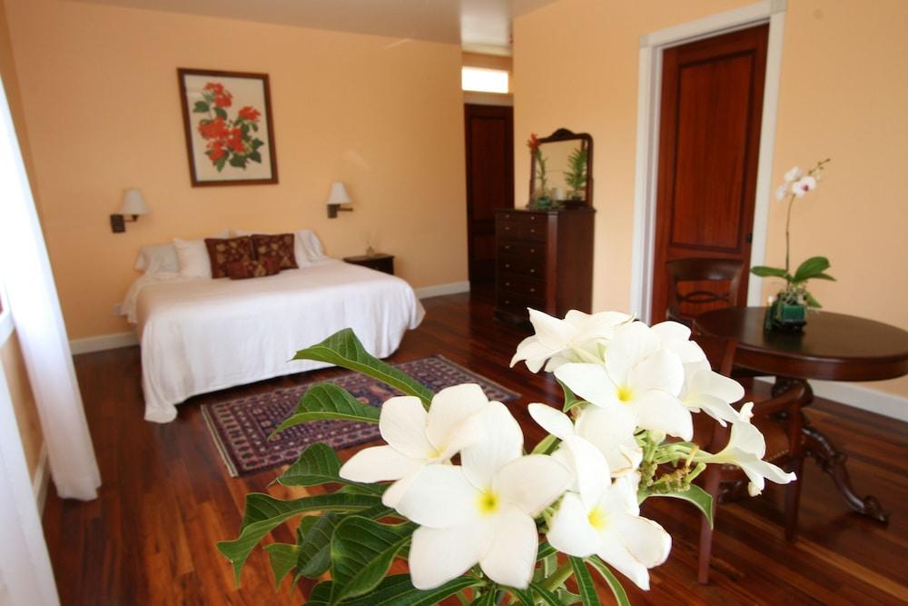 Hawaii Island Retreat photo 8