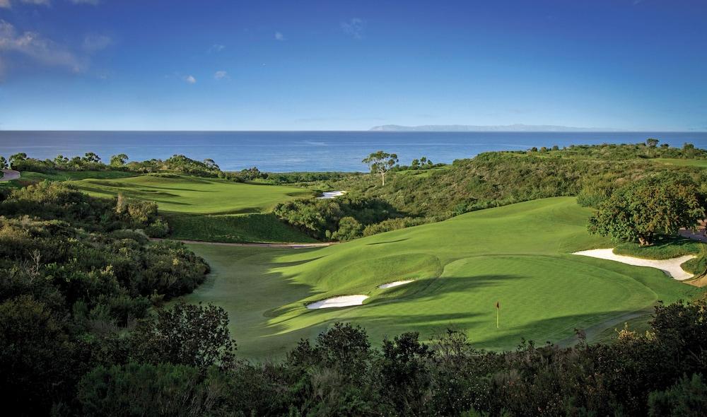 The Resort at Pelican Hill photo 62