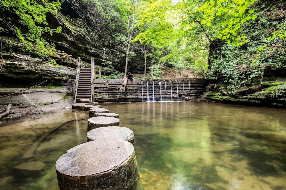 Grand Bear Resort at Starved Rock photo 30