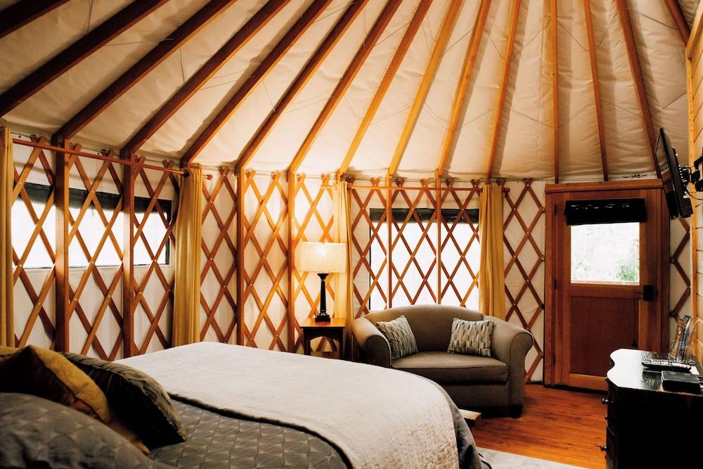 Sky Ridge Yurts photo 17