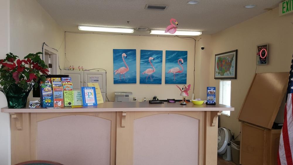 Flamingo Inn photo 2