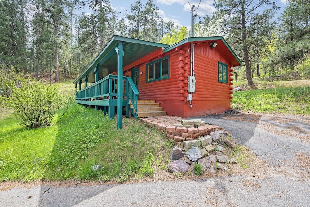 Ponderosa Pines photo 12