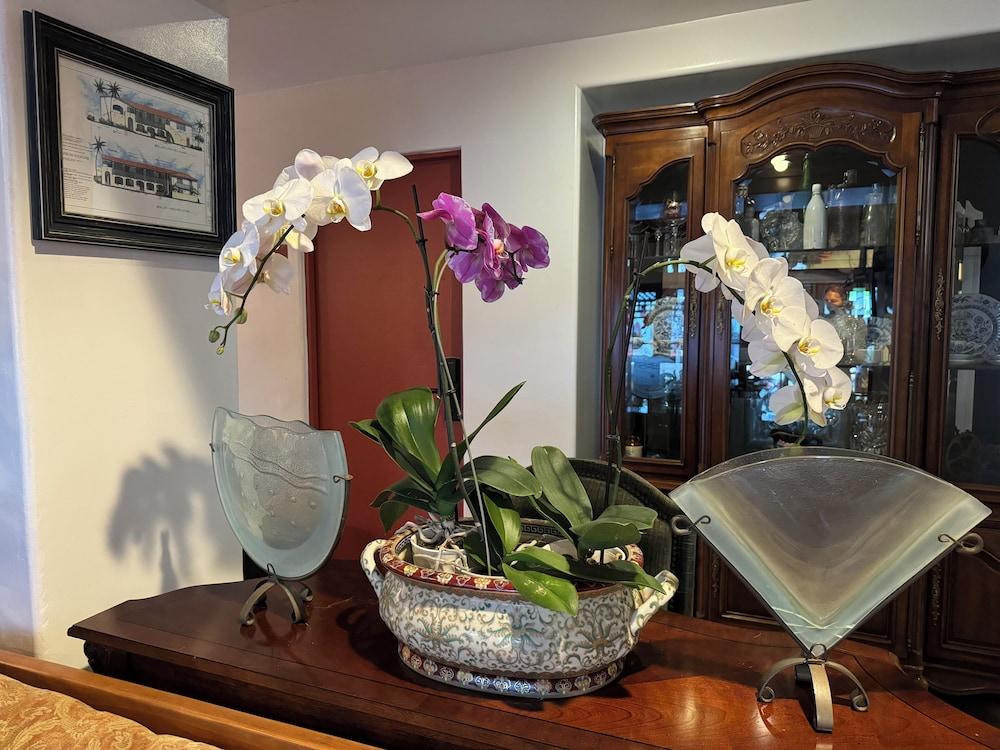 Tide Pool Villas photo 3