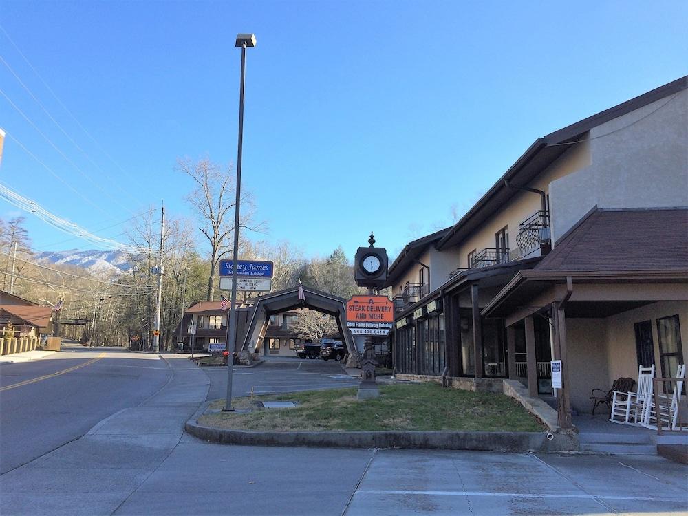 Sidney James Mountain Lodge photo 63