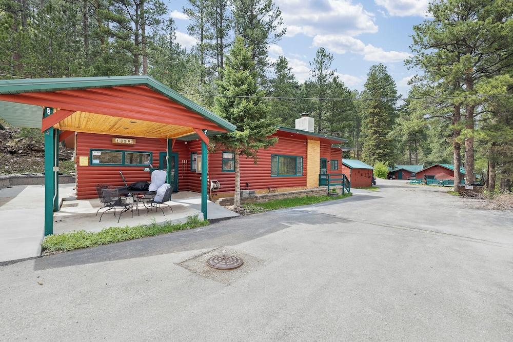 Ponderosa Pines photo 63