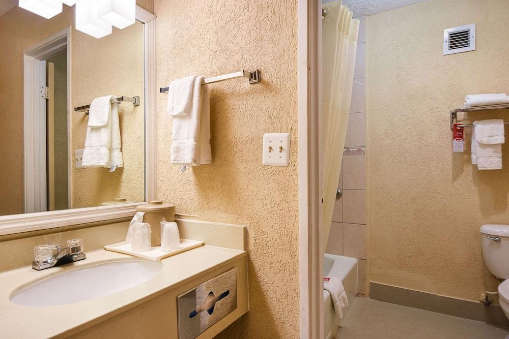Econo Lodge Tampa near Busch Gardens photo 53