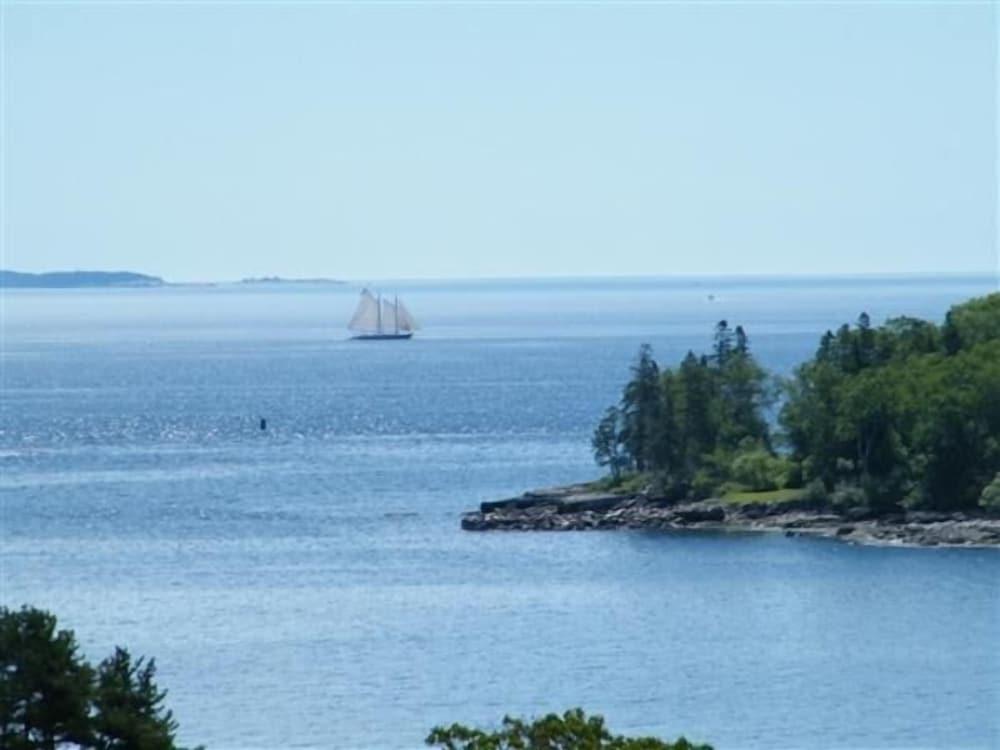 Island View Inn photo 46
