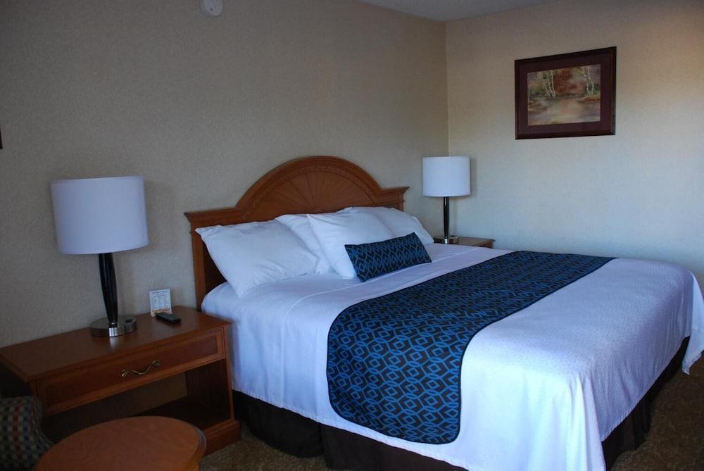Chief Motel photo 14