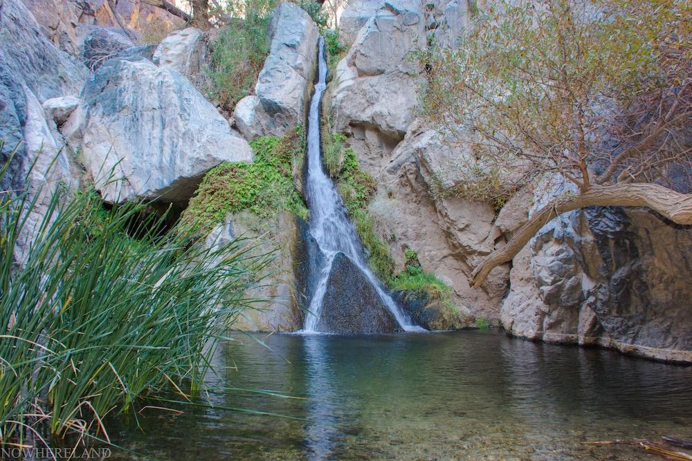 Panamint Springs Resort photo 45