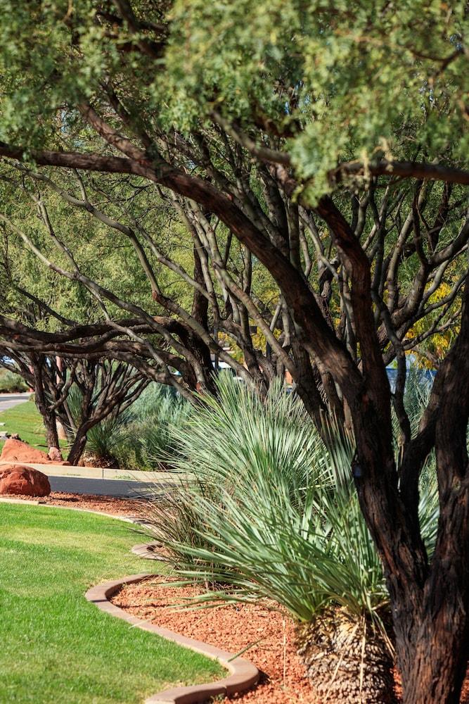 The Wilde Resort and Spa photo 87