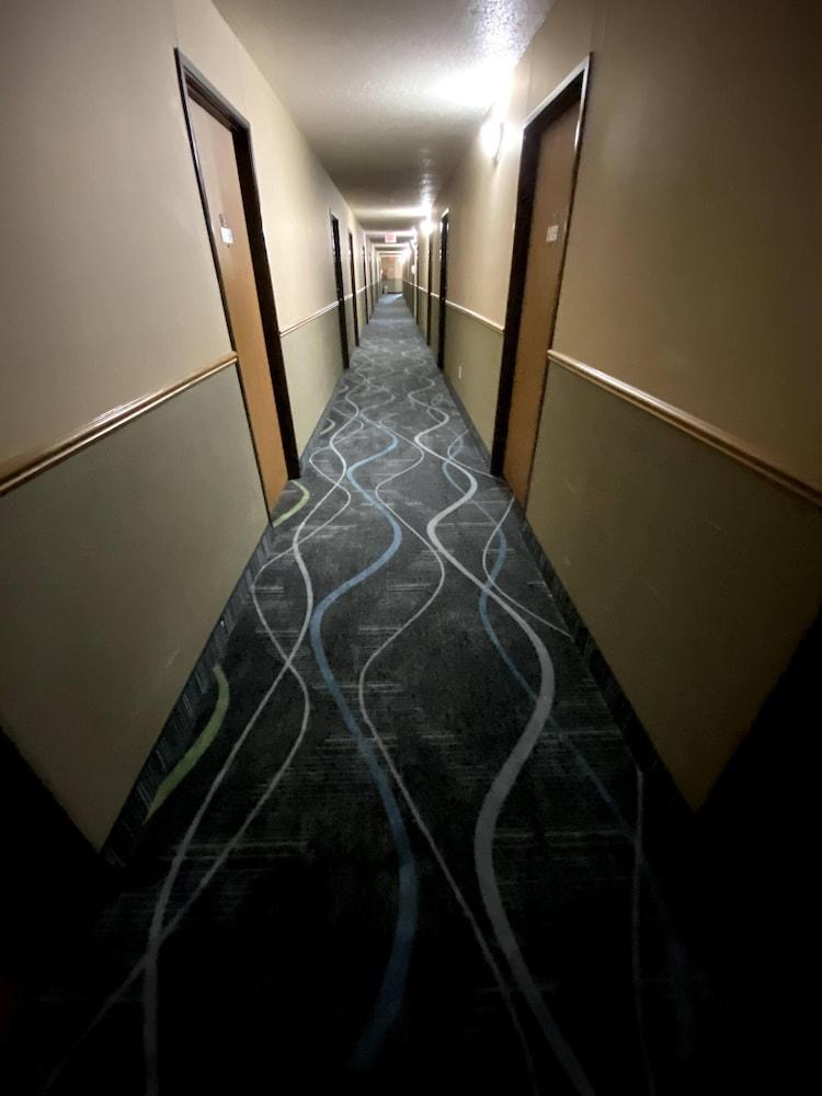 Woodlands Inn & Suites photo 7